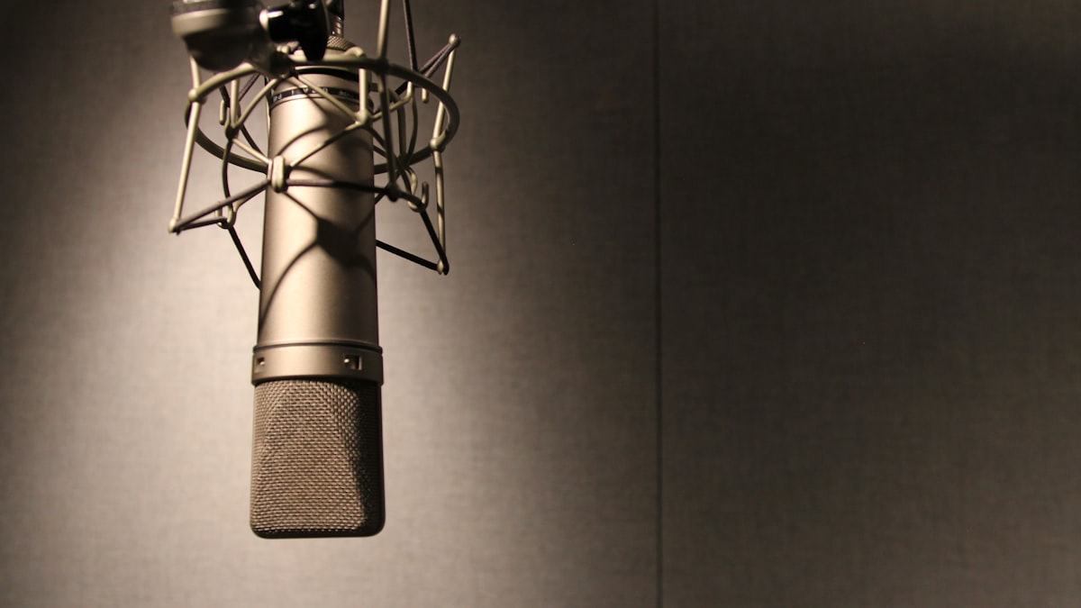 Choosing a Microphone Windscreen for Outdoor Filming
